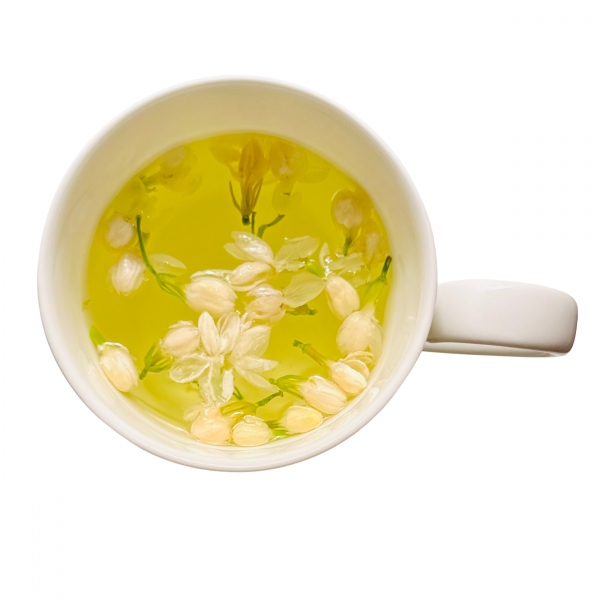 Jasmin de Grasse Bud - Image 3
