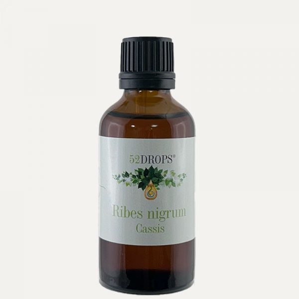 Cassis 50ml – Gemmotherapy