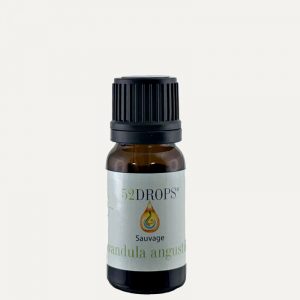 Wild True Lavender Essential Oil 10ml