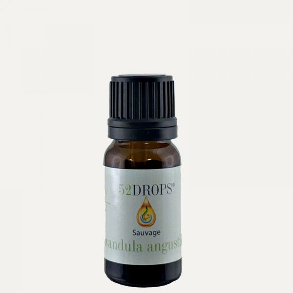 Wild True Lavender Essential Oil 10ml