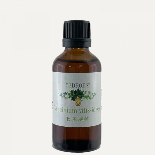 Vaccinium Vitis-idaea - Phytotherapy 50ml