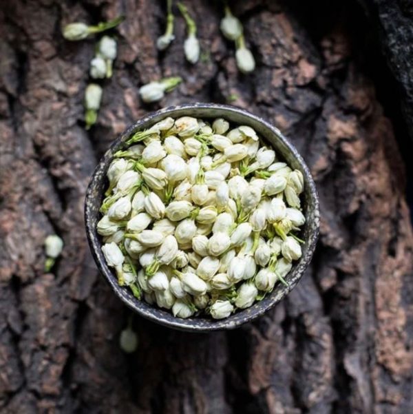 Jasmin de Grasse Bud - Image 4