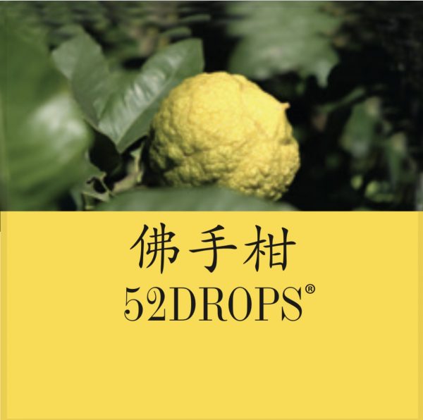 Bergamot Essential Oil - Clear 10ml - Image 2