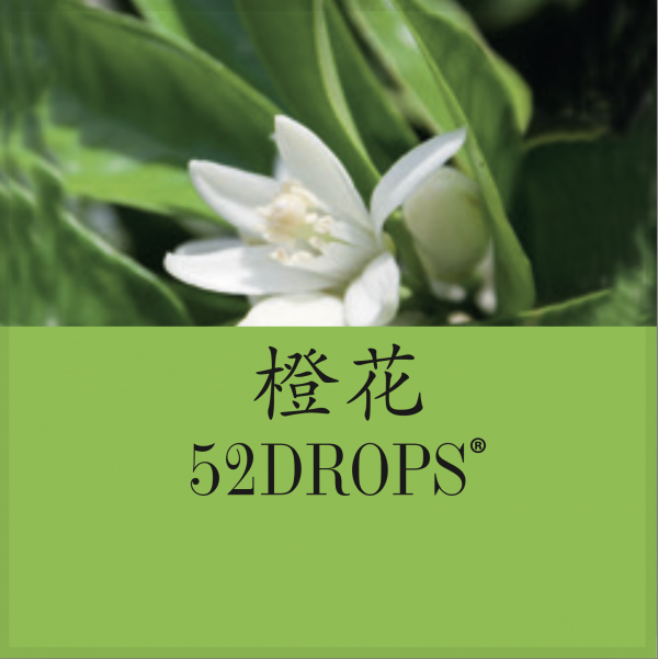 Neroli Essential Oil 5ml - Image 3
